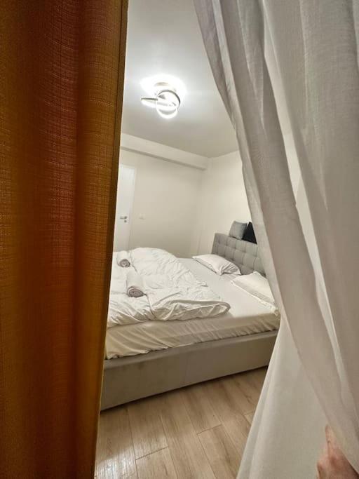 Ultracentral Luxury Apartament Timisoara Ngoại thất bức ảnh