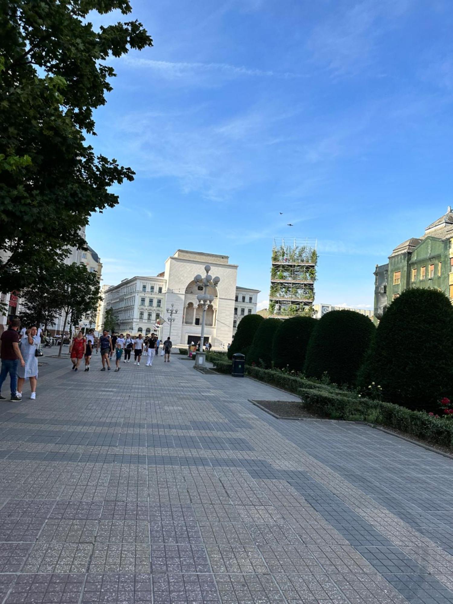 Ultracentral Luxury Apartament Timisoara Ngoại thất bức ảnh